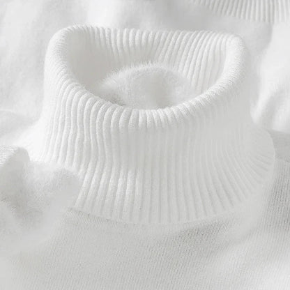 Serino Wool Turtleneck